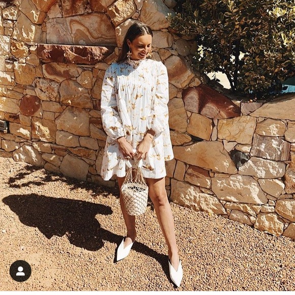 Ganni Horse Print Dress 2025 | www.takertrailers.ee